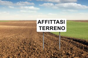Affittare Terreni Fotovoltaici
